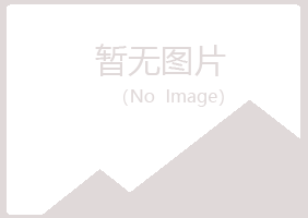 茂港区山柳工程有限公司